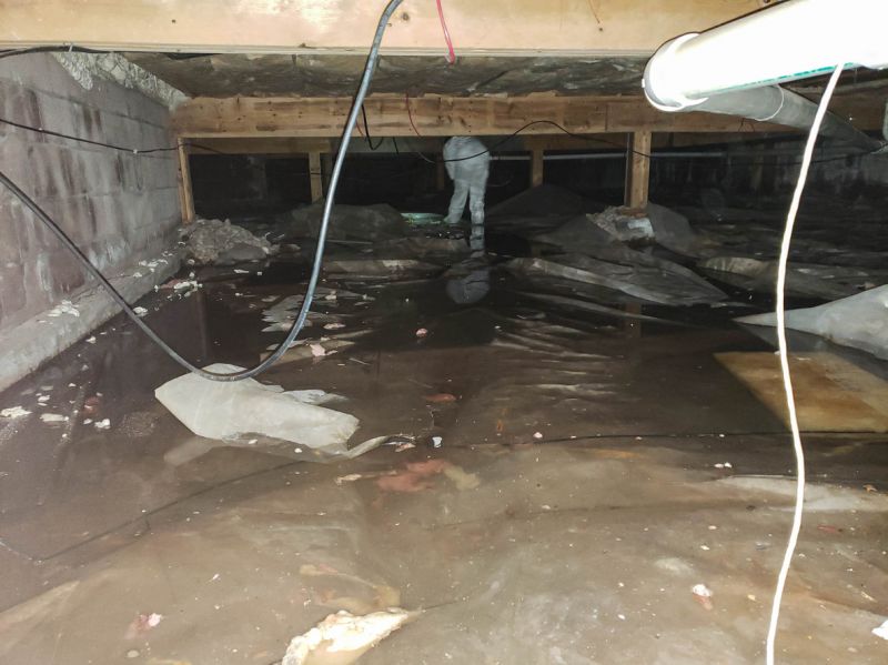 Finished Crawlspace with Vapor Barrier